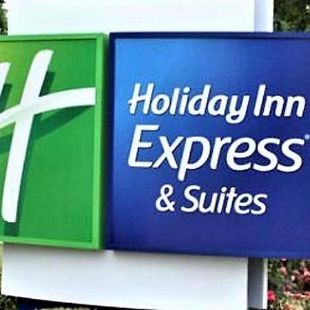 Holiday Inn Express & Suites - Detroit - Dearborn By Ihg Bagian luar foto